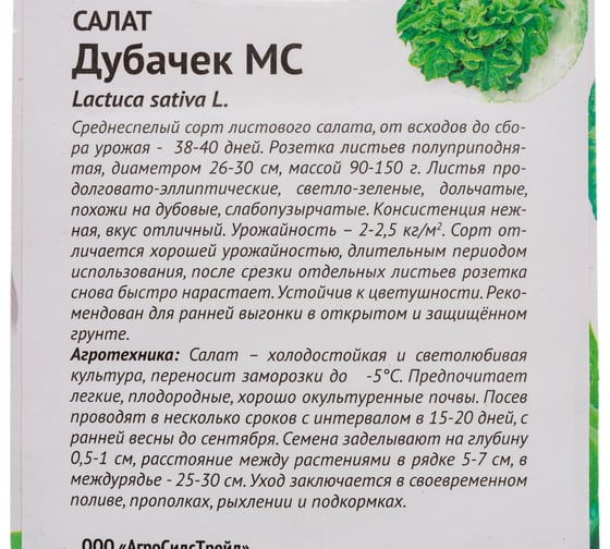 Семена ОКТЯБРИНА ГАНИЧКИНА Салат Дубачек МС 1 г 119150