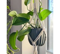 Кашпо ФлораПласт MIRA пластик, низкая, d163 мм, h143 мм, 2 л, серо-зеленый 072683