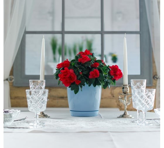 Горшок для цветов GARDENPLAST ФРЕЗИЯ №1 светло-голубой, 145х150 мм 60003