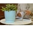 Горшок для цветов GARDENPLAST ФРЕЗИЯ №1 светло-голубой, 145х150 мм 60003 3