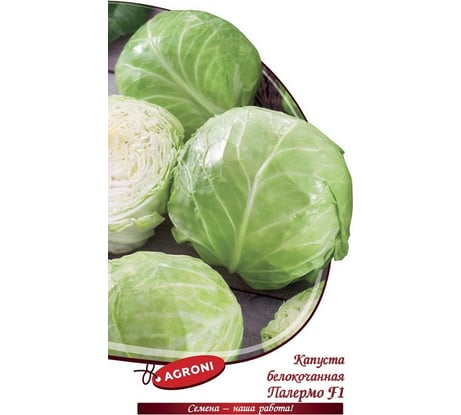 Семена Агрони Капуста белокочанная ПАЛЕРМО F1 3974