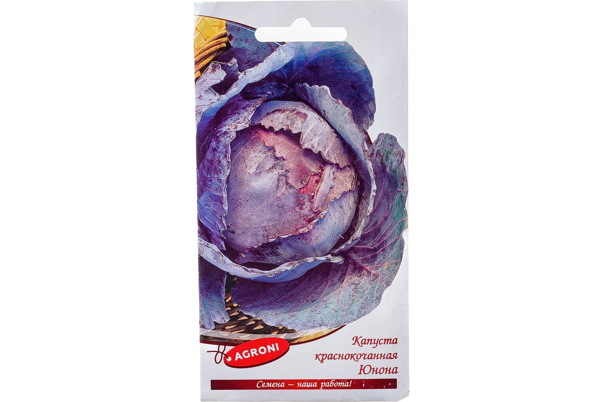 Семена Агрони Капуста краснокочанная ЮНОНА 4278 - выгодная цена, отзывы ...