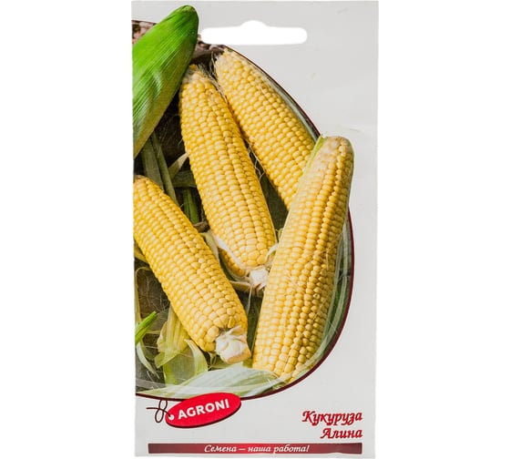 Семена Агрони Кукуруза сахарная АЛИНА 7453 1