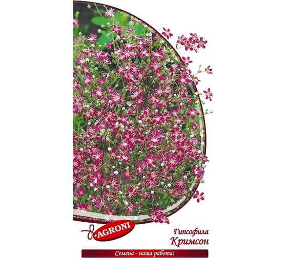 Семена Агрони Гипсофила КРИМСОН 3004 1