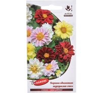 Семена Агрони Георгина низкорослая СМЕСЬ 7897