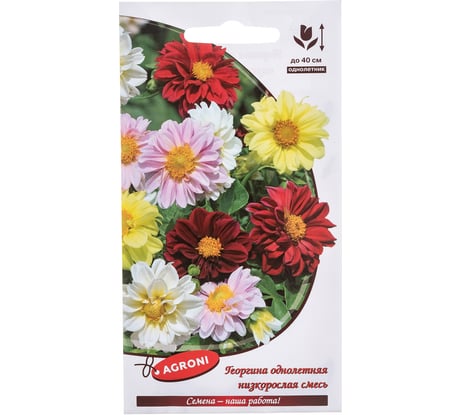 Семена Агрони Георгина низкорослая СМЕСЬ 7897