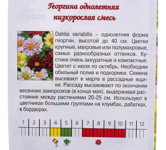 Семена Агрони Георгина низкорослая СМЕСЬ 7897