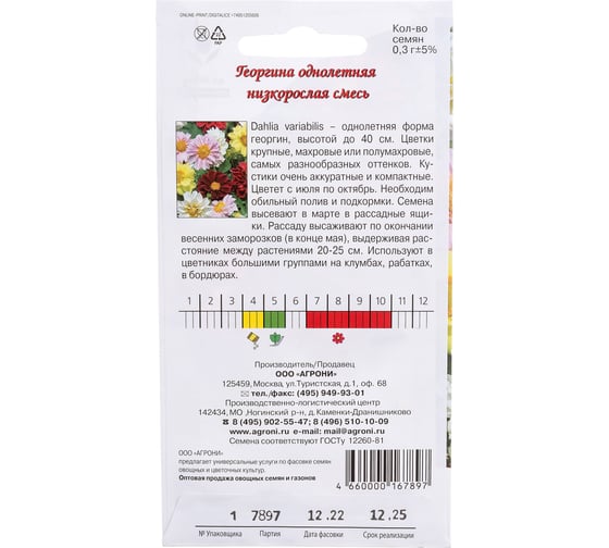 Семена Агрони Георгина низкорослая СМЕСЬ 7897