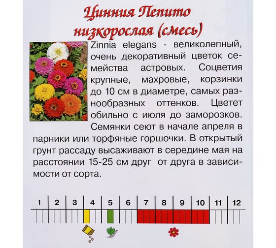 Семена Агрони Цинния изящная низкорослая ПЕПИТО МИКС 8160