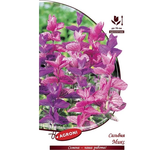 Семена Агрони Сальвия МИКС 3240