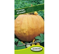 Семена Агрони Тыква АТЛАНТ 1895