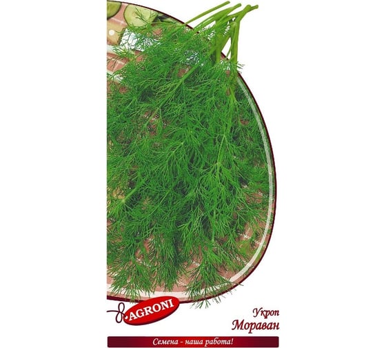 Семена Агрони Укроп МОРАВАН 4056