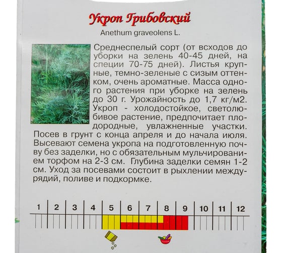Семена Агрони Укроп ГРИБОВСКИЙ 6111