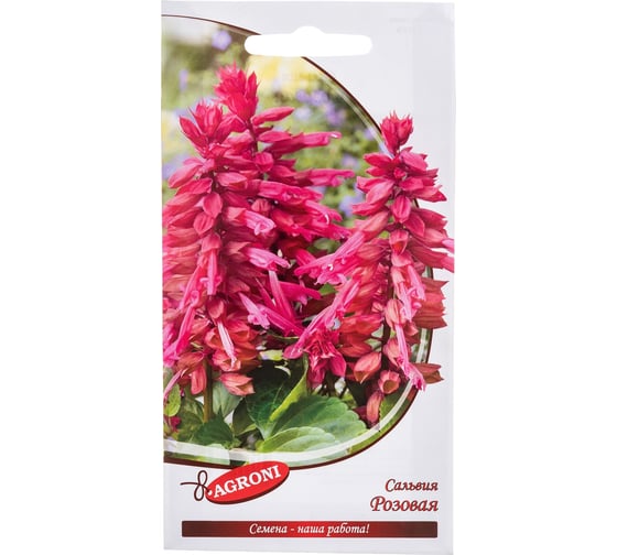 Семена Агрони Сальвия РОЗОВАЯ 3226 1