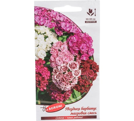 Семена Агрони Гвоздика барбатус МАХРОВАЯ СМЕСЬ 2984