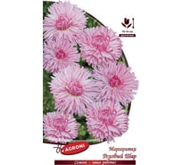 Семена Агрони Маргаритка РОЗОВЫЙ ШАР 8238