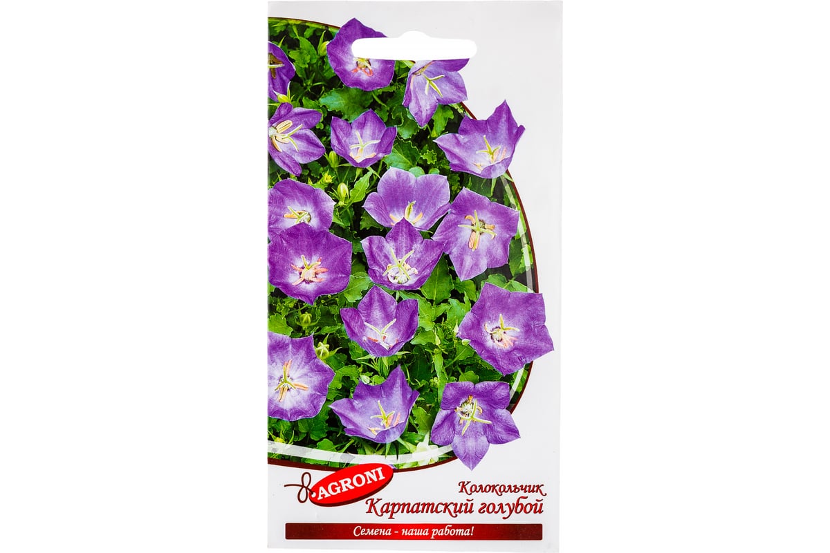 Семена Агрони Колокольчик карпатский ГОЛУБОЙ 5107 - выгодная цена ...