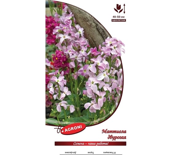 Семена Агрони Маттиола ДВУРОГАЯ 2158 1