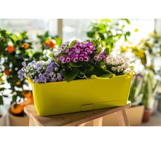 Балконный ящик с поддоном 5Plast Прованс 9 л, фисташковый 5PL0508