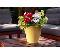 Горшок со вставкой 5Plast Конус Эко 5.5 л, желтый 5PL0533