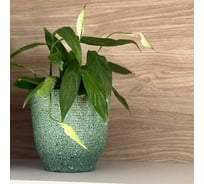 Кашпо керамика Scheurich Vintage d14см h14см зеленый 073375