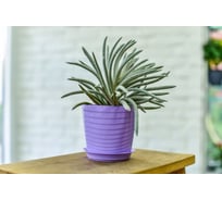 Фиалочница с поддоном 5Plast Верона лаванда 5PL0388