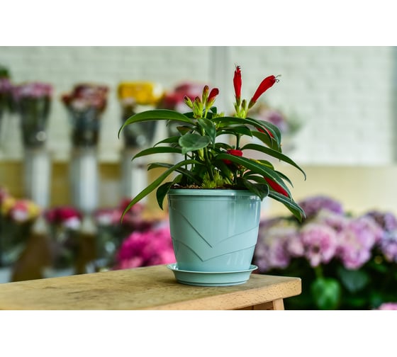 Фиалочница с поддоном 5Plast Венеция мятная 5PL0377 1