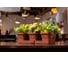 Комплект из 3-х горшков с поддоном 5Plast Цветочное трио Валенсия терракотовый 5PL0471 2