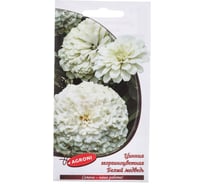 Семена Агрони Цинния георгиноцветная БЕЛЫЙ МЕДВЕДЬ 8146
