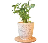 Кашпо керамика Scheurich Vintage d14см h14см крем 073374