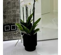 Кашпо ФлораПласт Elsa пластик, d13 см, h16 см, 2л черный 0 70861