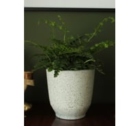 Кашпо Scheurich керамика Vintage d14см h14см белый 0 73372