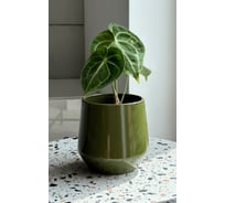 Кашпо Scheurich керамика Barcelona d14см h14см зеленый 0 73402