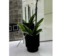 Кашпо ФлораПласт пластик Elsa d17см h19см 3,94л черный 0 70875