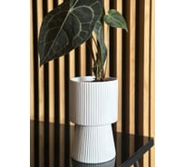 Кашпо Scheurich керамика Barcelona d14см h22см белый 0 73370