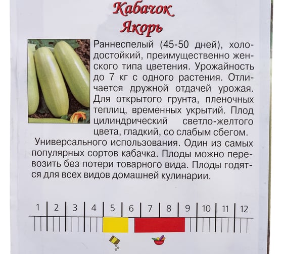 Семена Агрони Кабачок ЯКОРЬ 4308