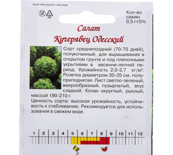 Семена Агрони Салат КУЧЕРЯВЕЦ ОДЕССКИЙ 1796