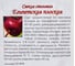 Семена Агрони Свекла столовая ЕГИПЕТСКАЯ ПЛОСКАЯ 8887 3