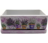 Горшок с поддоном Сады Аурики NK 0203 Кактусник 24х12х9 см 052157