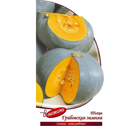 Семена Агрони Тыква ГРИБОВСКАЯ ЗИМНЯЯ 4858