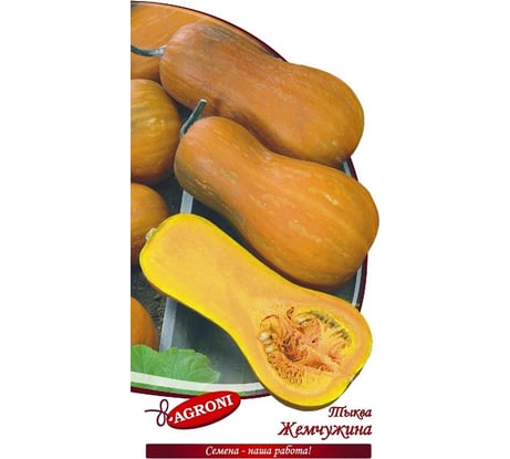 Семена Агрони Тыква ЖЕМЧУЖИНА 8900