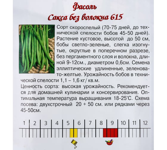 Семена Агрони Фасоль САКСА БЕЗ ВОЛОКНА 615 7101