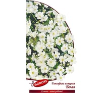 Семена Агрони Гипсофила БЕЛАЯ 3011