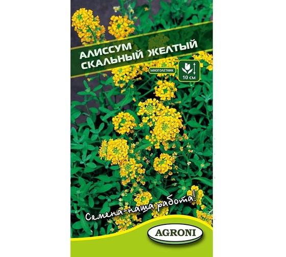 Семена Агрони Алиссум СКАЛЬНЫЙ ЖЕЛТЫЙ 2571
