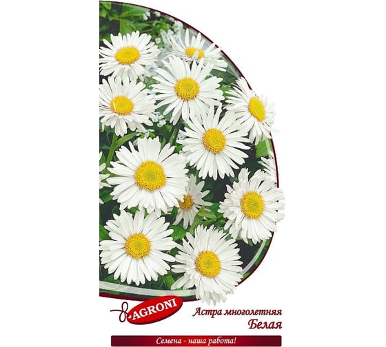 Семена Агрони Астра многолетняя БЕЛАЯ 4964