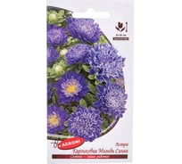 Семена Агрони Астра карликовая СИНЯЯ 2878