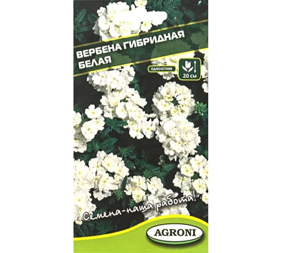 Семена Агрони Вербена гибридная БЕЛАЯ 5893
