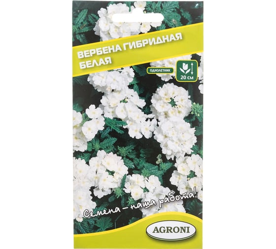 Семена Агрони Вербена гибридная БЕЛАЯ 5893