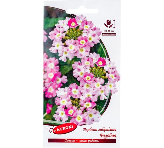 Семена Агрони Вербена гибридная РОЗОВАЯ 5909 1