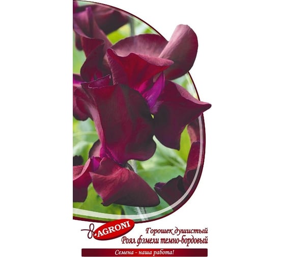 Семена Агрони Душистый горошек РОЯЛ ФЭМЕЛИ ТЕМНО-БОРДОВЫЙ 7941 1